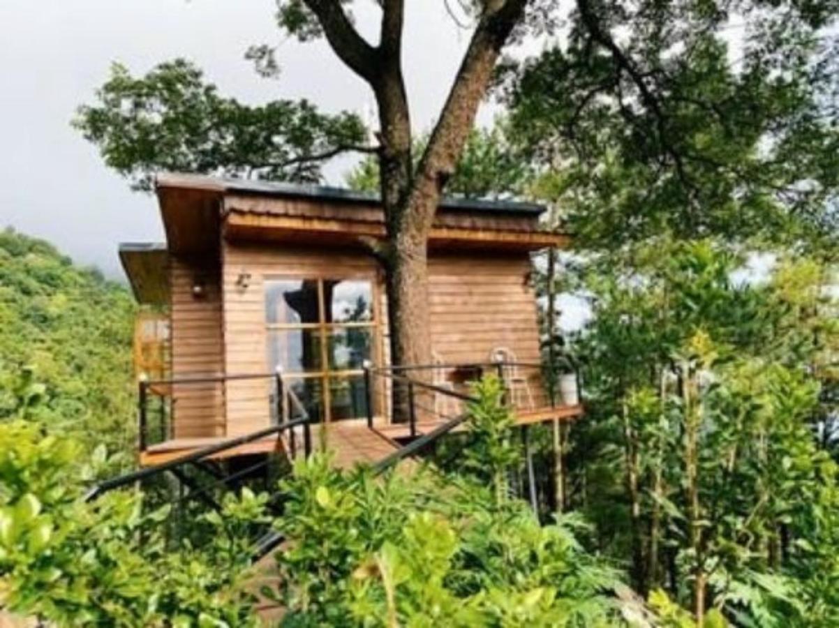 Chillout Village - Homestay Tam Dao Hanoi Kültér fotó
